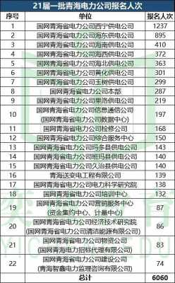 青岛电网考试报名条件（青海省国家电网考试报名条件）