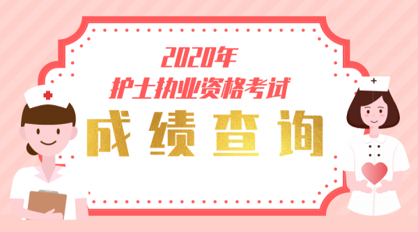 2020护资考试报名查询（2020护考资格证查询）