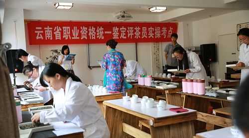 茶艺技师考试报名（茶艺师技师考试）