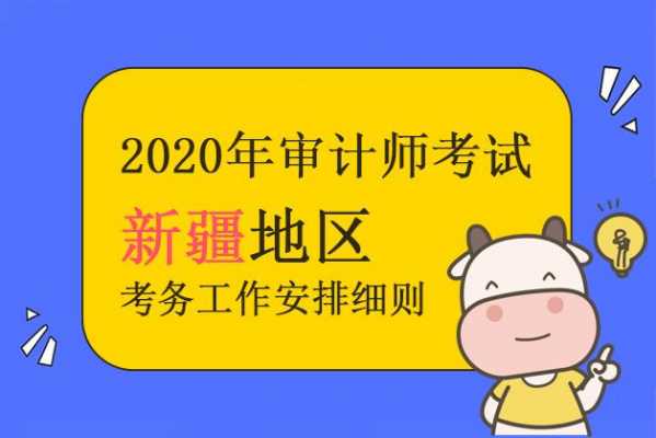 新疆审计考试报名（新疆审计收费标准的文件）