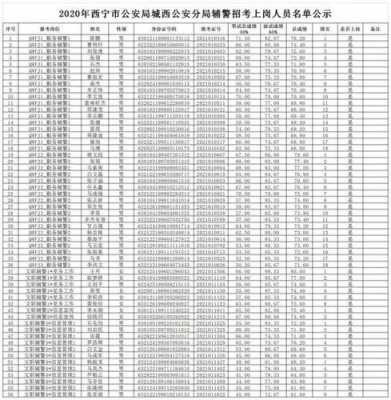 西宁市公安考试报名（西宁市公安局官网招录）