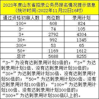 山东公务考试报名情况（山东省公务员报名情况）