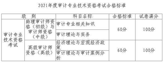 初级审计师考试报名费（初级审计师的报名费）