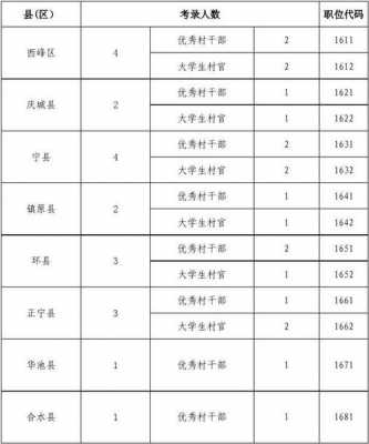 沭阳村官考试报名条件（沭阳县大学生村官待遇）