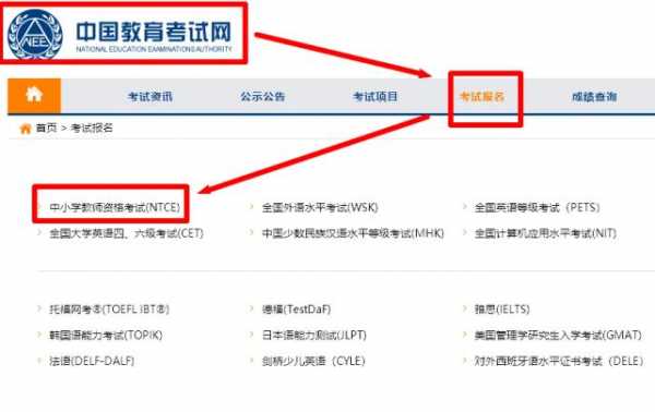 ntet考试报名（ntce报考条件）