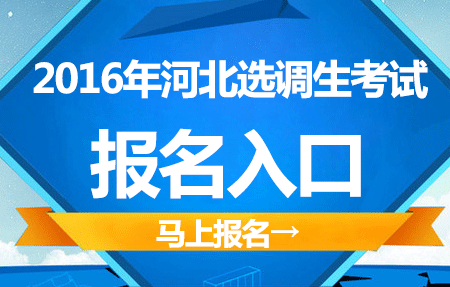 河北驾驶员考试报名（河北省驾驶员考试网）