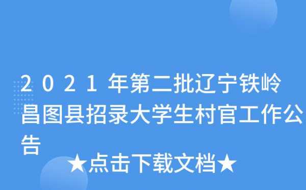 辽宁省村官考试报名入口（2021年辽宁省村官报考条件）