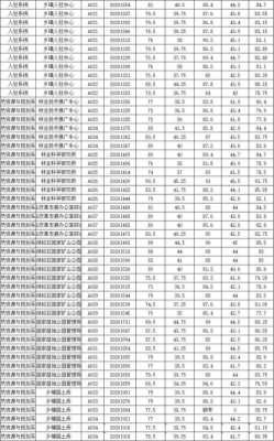 四项人员报名考试（四项人员考上几率）