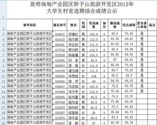 昆明大学生村官考试报名（昆明市大学生村官）