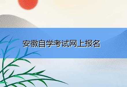 安徽自学考试报名网站（安徽自学考试报名网站登录）