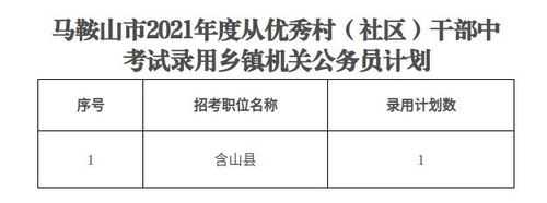 乡镇干部考试报名网（乡镇干部考试报名网官网）