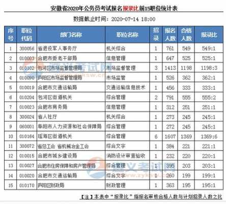 芜湖公务员考试报名统计（芜湖市公务员报考）