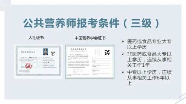 营养师考试报名费（营养师报考条件及费用官网）