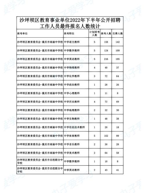 沙坪坝考试报名统计（沙坪坝报名人数统计）