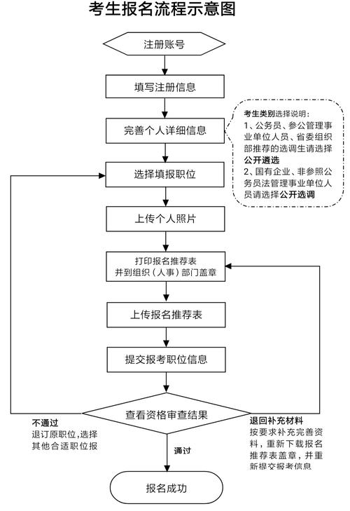 选调生报名考试流程（选调生报名流程图）