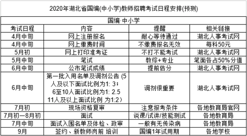 编制考试报名资格（编制考试报名条件）