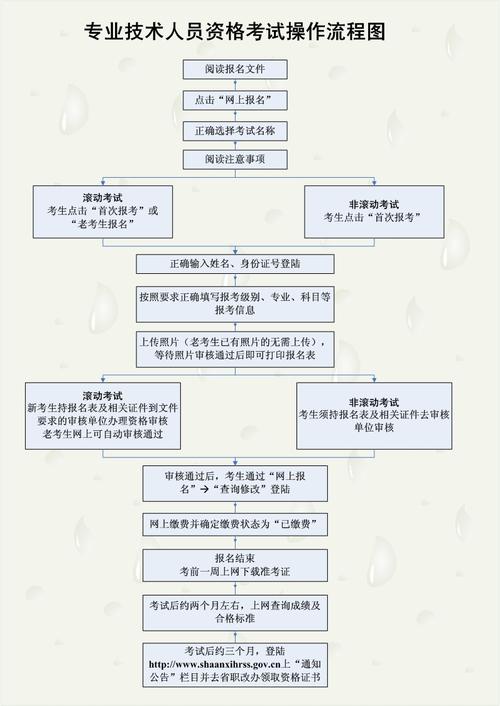 药师考试报名流程（药师考试报名流程视频）