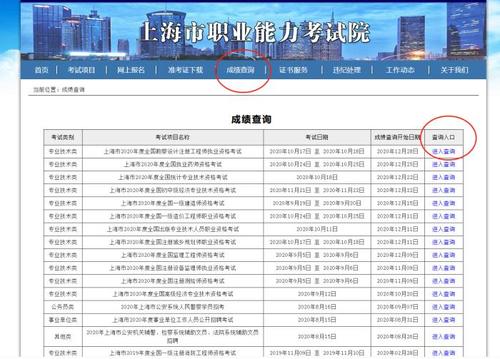 上海执业资格考试报名（上海市执业资格查询）