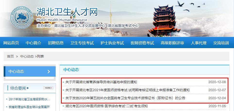湖北卫生专业考试报名（湖北卫生专业考试报名官网）