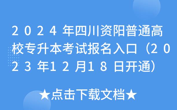 资阳村官考试报名（资阳村官考试报名网站）