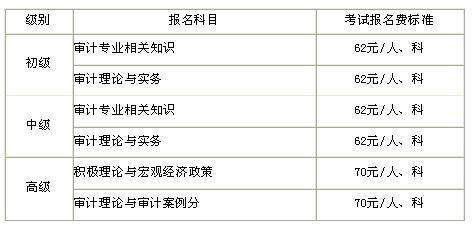 银行审计考试报名条件（银行审计人员考试）