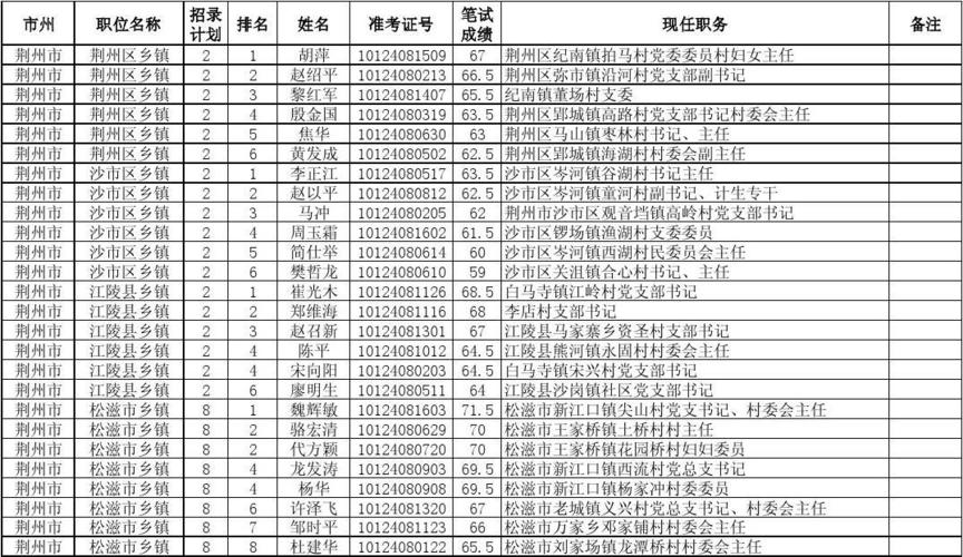 村主干考试报名人员公示（村干部报名时间）