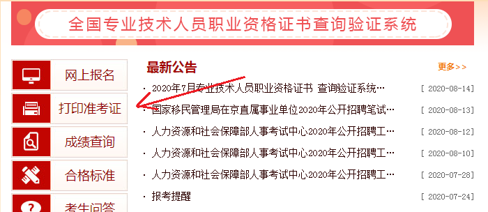 药师报名考试准考证（药师报名考试准考证打印流程）