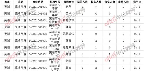 芜湖在编教师考试报名（芜湖教师招聘报名）