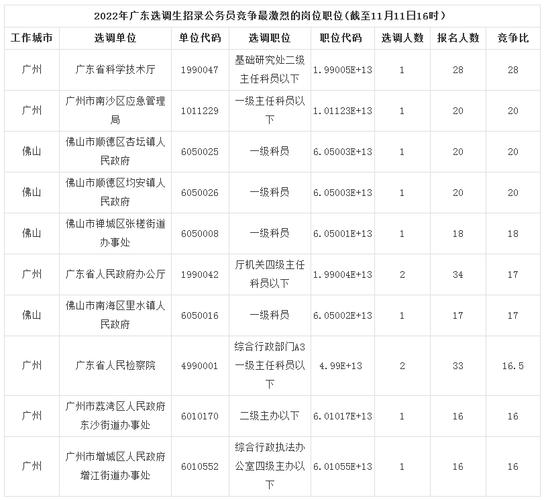 广州选调生考试报名（广州市选调生考试）