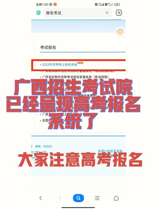 广西招生考试报名（广西招生考试报名官网）